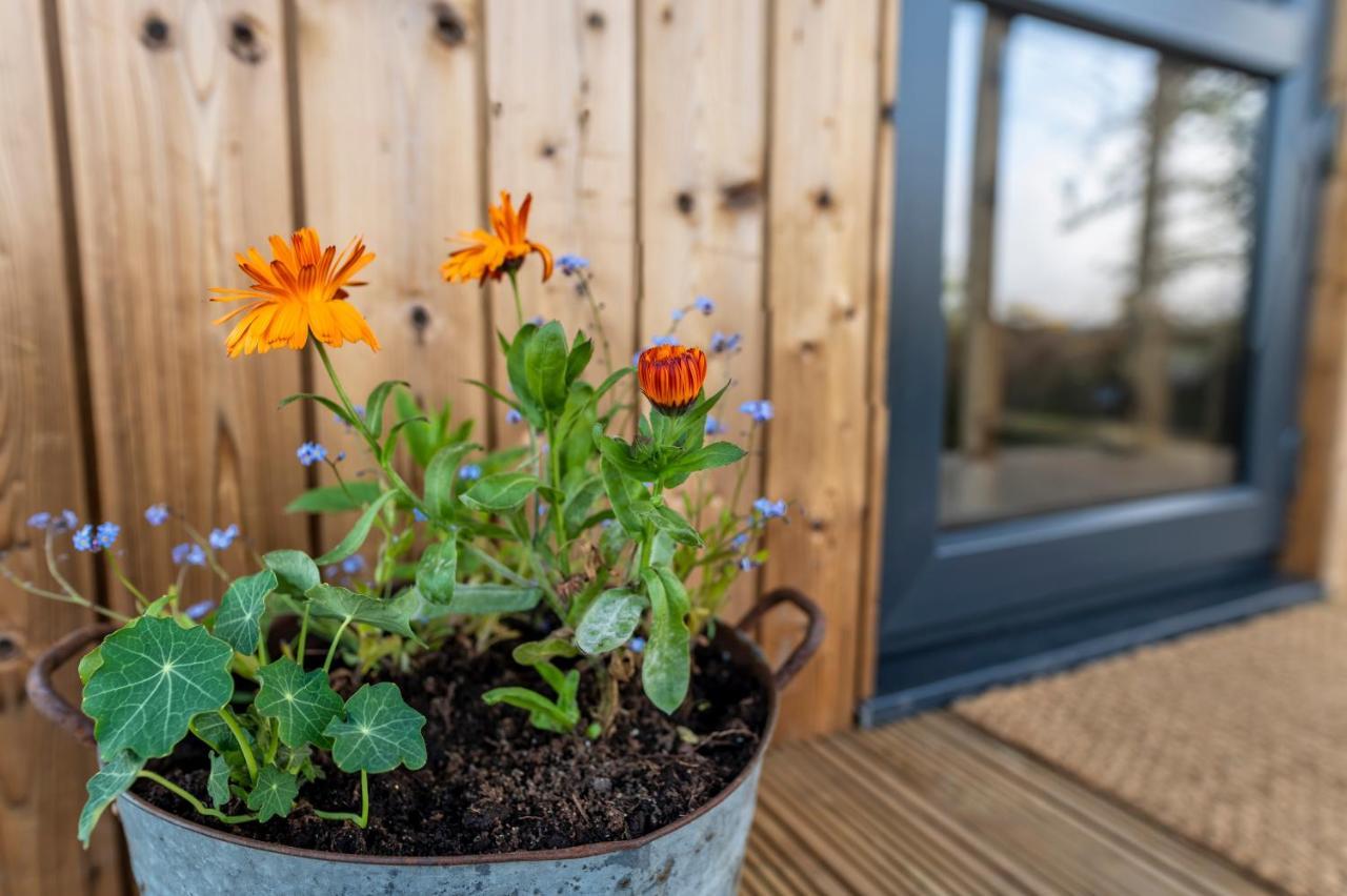 Luxury Glamping Cabin With Outdoor Bath On Cornish Flower Farm Truro Bagian luar foto